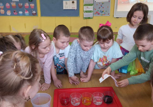 Dzieci obserwują jak chłopiec wkłada papierowy ręcznik do szklanki wypełnionej zabarwioną wodą.
