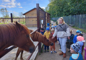 Dzieci z przewodnikiem oglądają dwa brązowe konie.