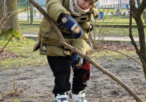 Chłopiec obserwuje drzewo w ogródku