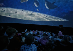 Obraz ryb w oceanarium