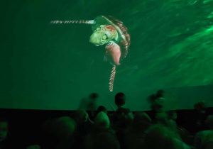 Dzieci oglądają film o podwodnym świecie