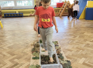 Chłopiec przechodzi na boso po ścieżce sensorycznej.