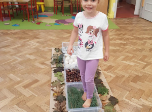 Jesienna ścieżka senoryczna