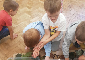 Chłopcy poznają zapach świeżo słodzone trawy.