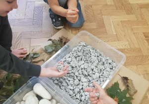 Chłopcy poznają strukturę kamieni
