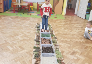 Chłopiec chodzi boso po ścieżce sensorycznej.