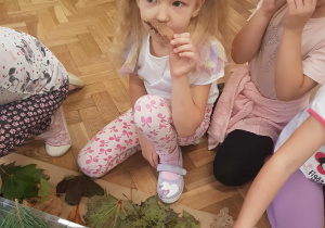 Dziewczynki poznają zapach kory.