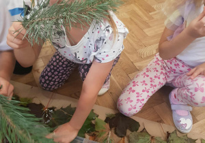 Dziewczynki poznają zapach gałązki sosny.