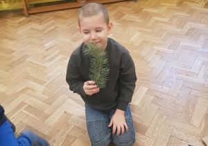 Chłopiec poznaje zapach gałązki sosny.