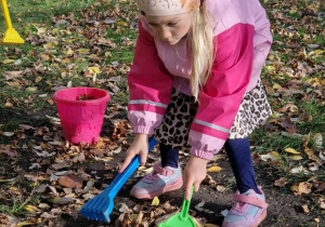 Dziewczynka zagrabia liście