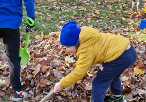 Chłopiec grabi liście