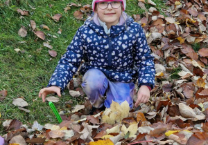 Dziewczynka grabi liście