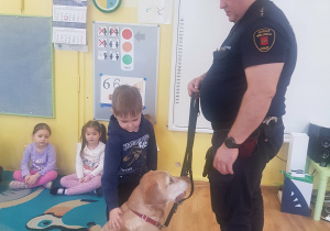 Chłopiec głaszcze psa