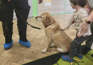 Chłopiec głaszcze po grzbiecie psa