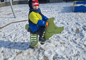 chłopiec buja się na nosorożcu