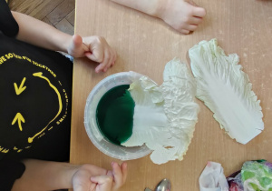 Dziecko włada kapustę pekińską do zielonej wody