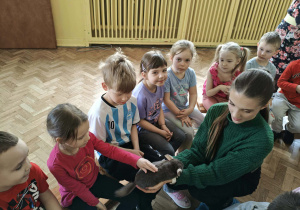 Dzieci oglądają i glaszczą szynszyle