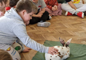 chłopiec głaszcze króliczka
