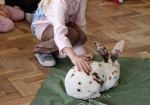 Dziewczynka głaszcze króliczka