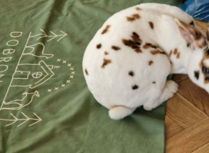 Spotkanie ze zwięrzętami