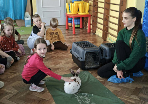 Dziewczynka głaszcze króliczka