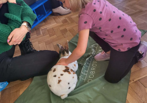 Dziewczynka głaszcze króliczka