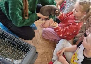 Dzieci oglądają i glaszczą szynszyle