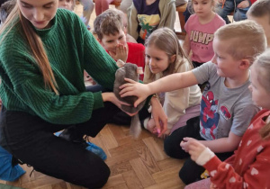 Dzieci oglądają i glaszczą szynszyle