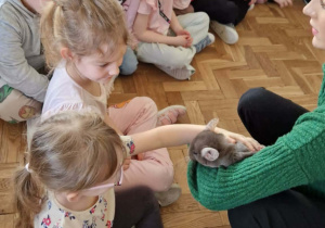 Dzieci oglądają i glaszczą szynszyle