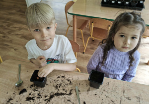 Dzieci sadzą cebulki