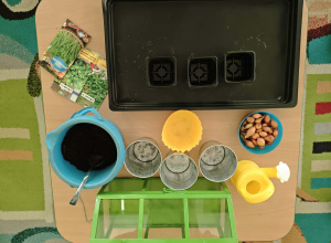 Mali ogrodnicy-sadzimy, siejemy