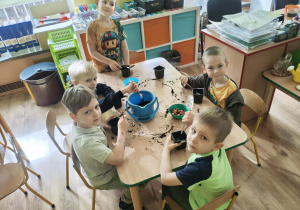 Dzieci sadzą roślinki