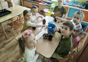 Dzieci sadzą roślinki