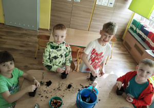 Dzieci sadzą roślinki