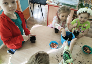 Dzieci sadzą roślinki