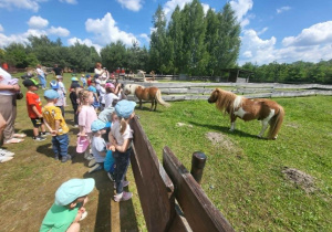 Dzieci oglądają zwierzęta