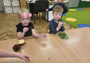 -Dzieci wybierają dary jesieni do oglądania pod lupą