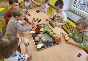 Dzieci wybierają dary jesieni do oglądania pod lupą