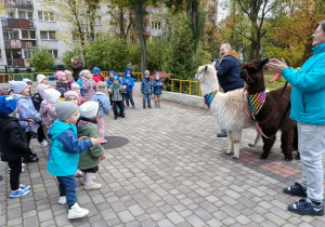 Dzieci śpiewają piosenkę o alpakach