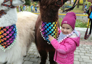 Dziewczynka przytula się do alpaki