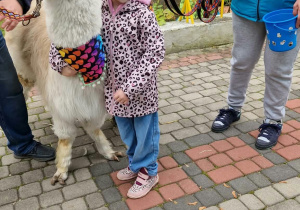 Dziewczynka przytula się do alpaki
