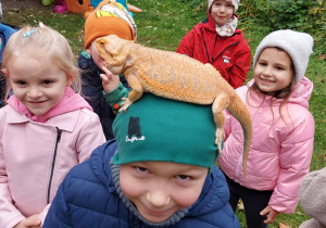 Chłopiec ma na głowie jaszczurkę