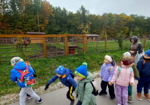 Dzieci chodzą po zoo.