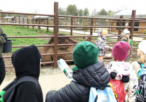 Dszieci stoją przy wielbłądzie.