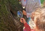 Dzieci oglądają drzewo przez lupę