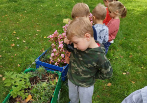 Dzieci obserwują kwiaty za pomocą lupy