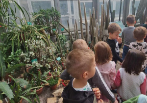 Dzieci poznają różne gatunki kaktusów