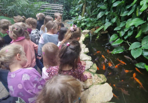Dzieci obserwują kolorowe rybki w oczku wodnym