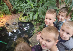 Dzieci obserwują żółwie w Palmiarni
