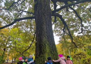 Dzieci obejmują najstarsze drzewo w Parku Źródliska